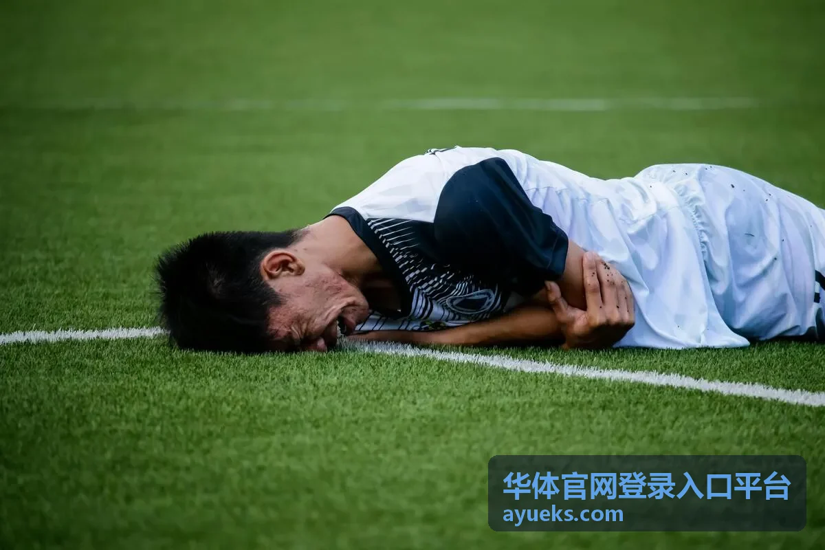 华体官网登录入口平台账号密码与找回密码流程示意