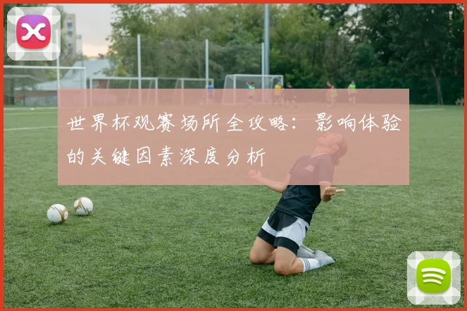 世界杯观赛场所全攻略：影响体验的关键因素深度分析
