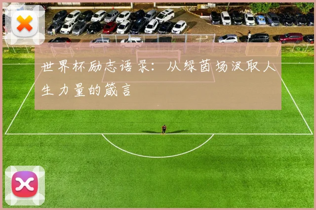 世界杯励志语录：从绿茵场汲取人生力量的箴言