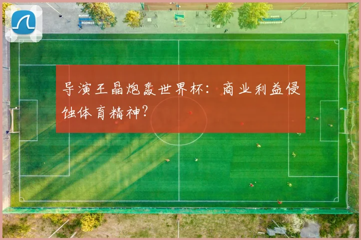导演王晶炮轰世界杯：商业利益侵蚀体育精神？